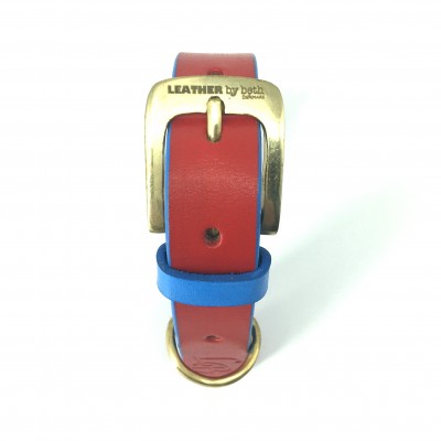 'SMILE AT ME' dog collar red/lightblue, danish design