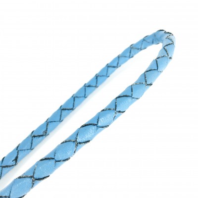 Miniflet, light blue dog leash