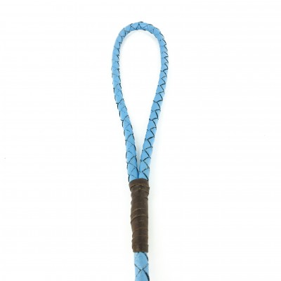 Miniflet, light blue dog leash
