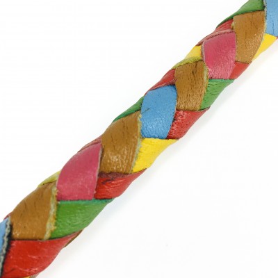 MAXIFLET hundeline, regnbue læder, dansk design