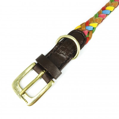 Maxiflet dog collar rainbow, danish design