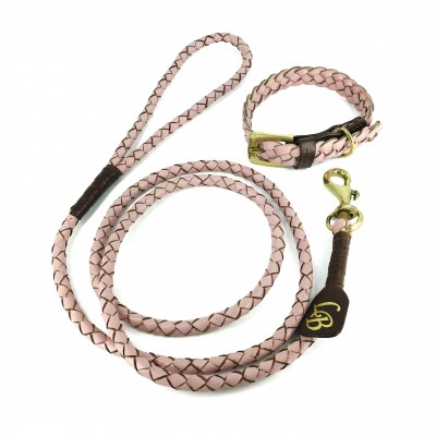 Miniflet, Rosa Hundeleine