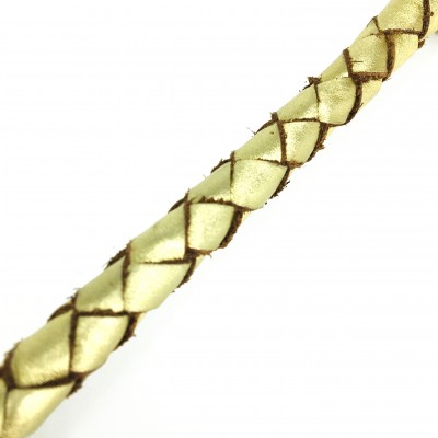 Show-Leine 60cm m/Karabiner - 5 Farben