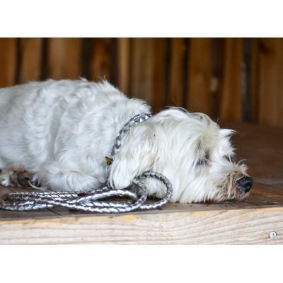 MINIFLET hundehalsbånd, sølv