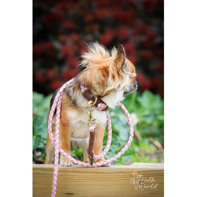 Miniflet, Rosa Hundeleine