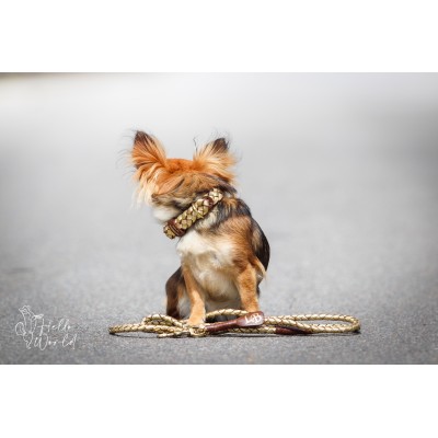 MINIFLET hundehalsbånd, guld