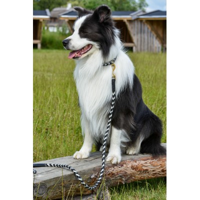 Maxiflet dog collar black/silver, danish design