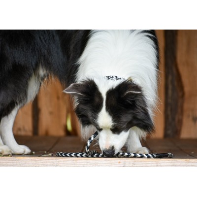 Maxiflet dog collar black/silver, danish design