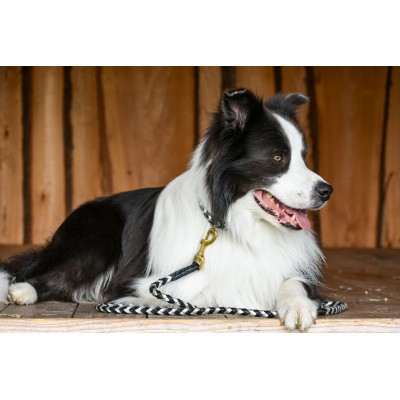 Maxiflet dog collar black/silver, danish design