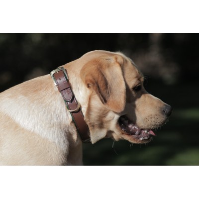 Citywalk Hundehalsband Cognac/Dunkelgrün, dänisches Design