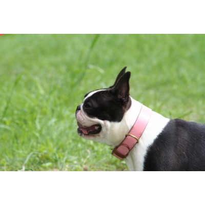 'SMILE AT ME' dog collar pink/brown, danish design