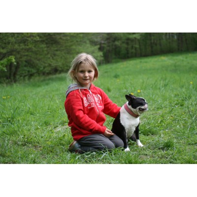 'SMILE AT ME' dog collar pink/brown, danish design