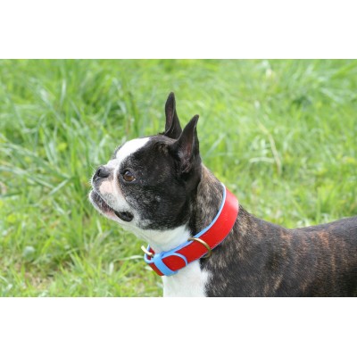 'SMILE AT ME' dog collar red/lightblue, danish design