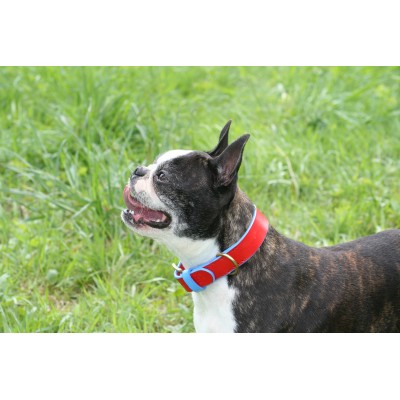 'SMILE AT ME' dog collar red/lightblue, danish design