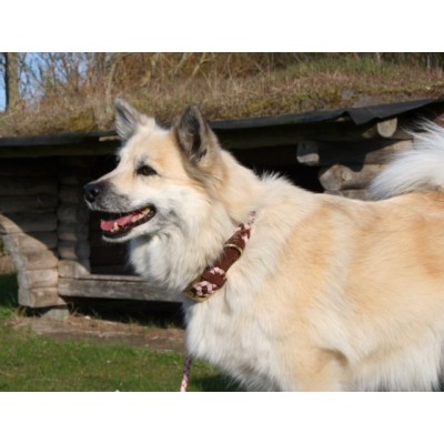 Maxiflet Hundehalsband Cognac/Rosa, dänisches Design