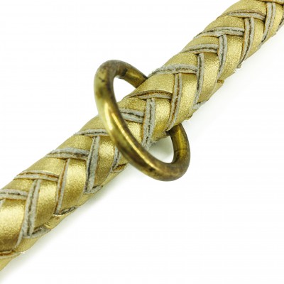 Maxiflet Hundehalsband Gold, dänisches Design