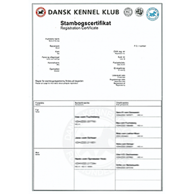 Pedigree / Stammbuch-Cover