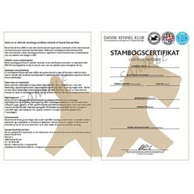 PEDIGREE / stamtavle cover i kernelæder, dansk design