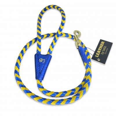Maxiflet, Blau/Gelb Hundeleine