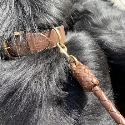 Citywalk Hundehalsband Cognac/Dunkelgrün, dänisches Design