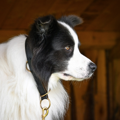 Zugstopp, Schwarz/Cognac, dänisches design