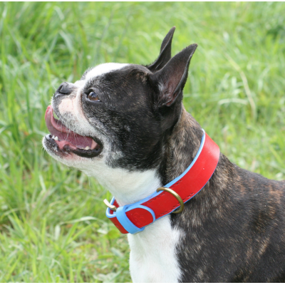 'SMILE AT ME' dog collar red/lightblue, danish design