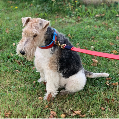 SMILE AT ME hundeline, rød læder, dansk design