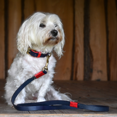 'SMILE AT ME' dog collar darkblue/red, danish design