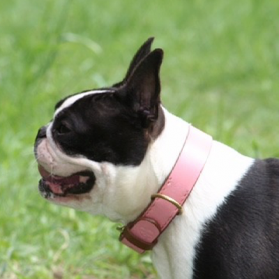'SMILE AT ME' dog collar pink/brown, danish design