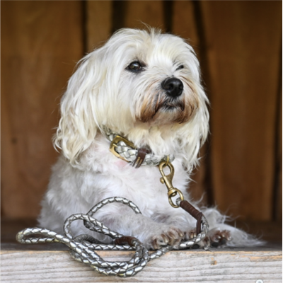MINIFLET hundehalsbånd, sølv