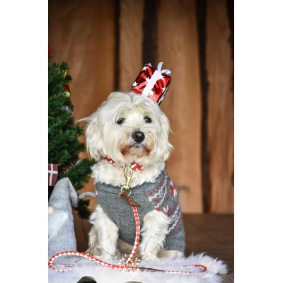Miniflet dog collar red/white, danish design