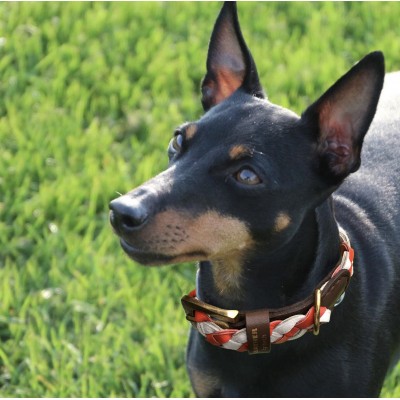 Miniflet dog collar red/white, danish design