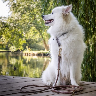 Training-leash in cognac, danish design