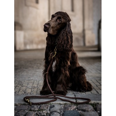 Training-leash in cognac, danish design