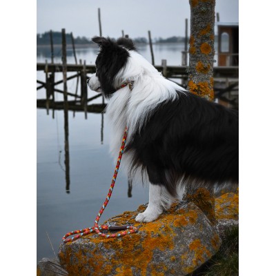 MAXIFLET hundeline, regnbue læder, dansk design