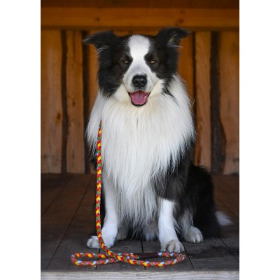 MAXIFLET hundeline, regnbue læder, dansk design
