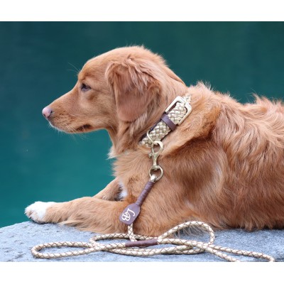 MAXIFLET hundehalsbånd, guld