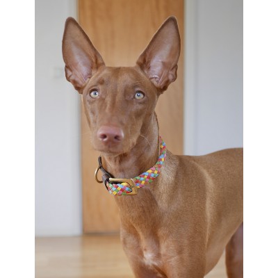 Maxiflet Hundehalsband Regenbogen, dänisches Design