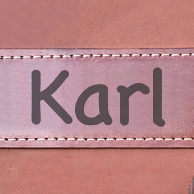 Pedigree / Stammbuch-Cover