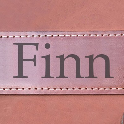 Pedigree / Stammbuch-Cover