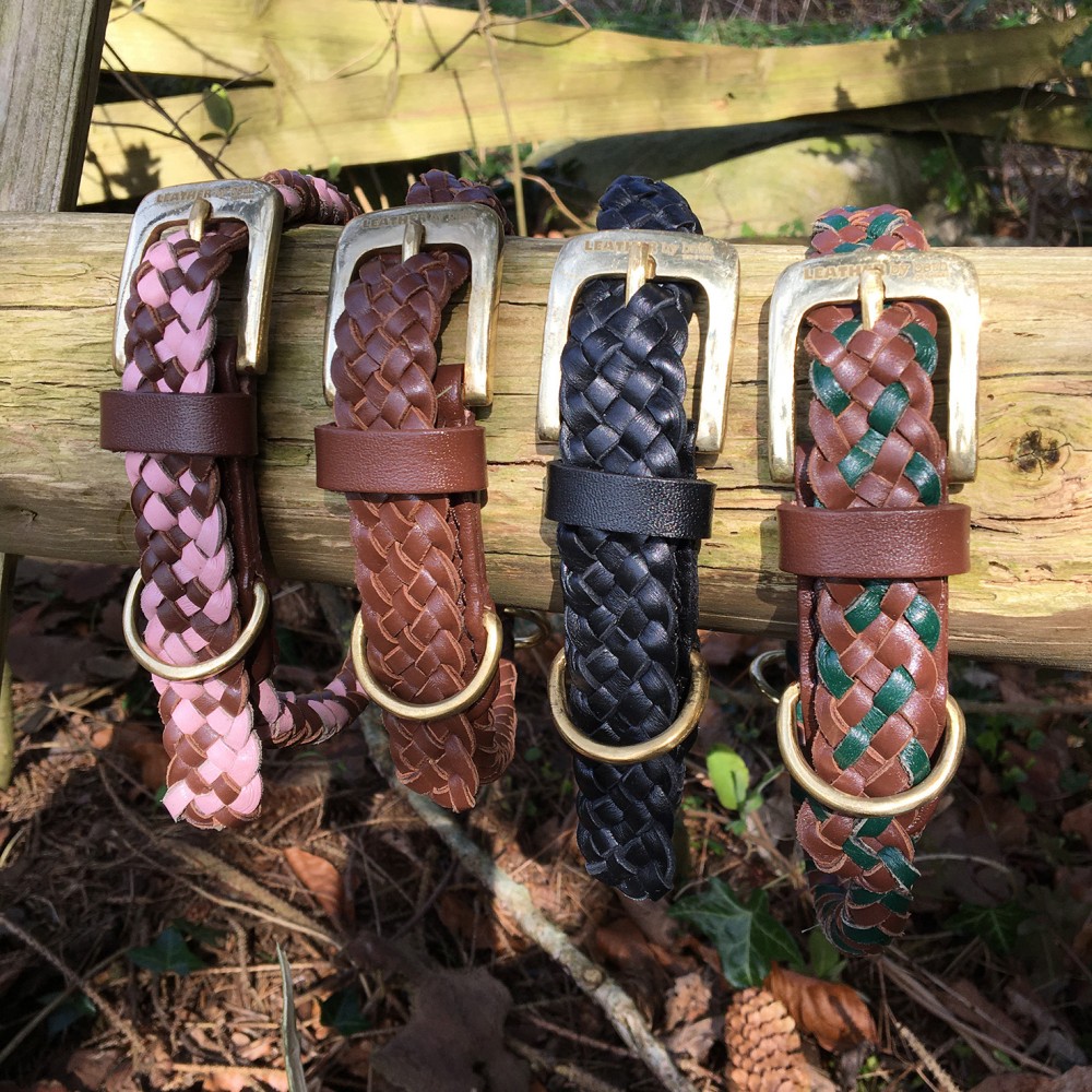 COLOR, LENGTH & WIDTH Miniflet collar
