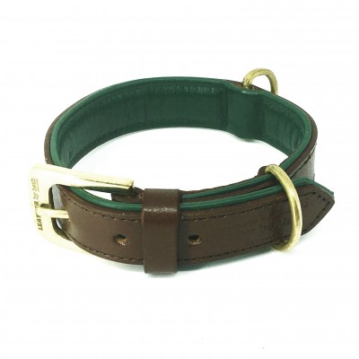 FARBE, LÄNGE & BREITE Citywalk-Halsband