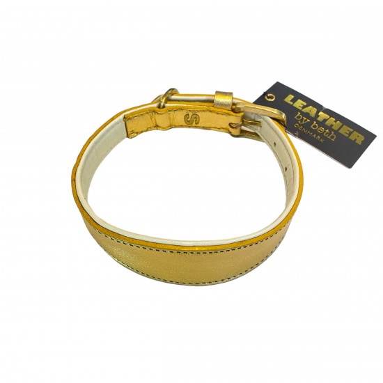 Windhund Halsband Gold/Créme