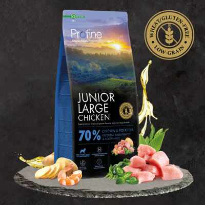 Profine Junior Large Chicken & Potatoes (12 kg)
