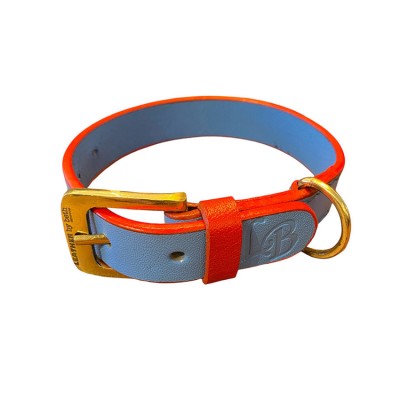 'SMILE AT ME' Hundehalsband Hellblau/Rot, dänisches Design
