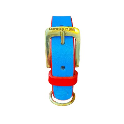 'SMILE AT ME' Hundehalsband Hellblau/Rot, dänisches Design